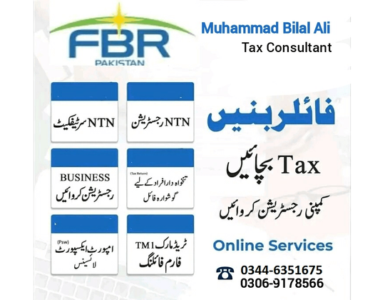 Muhammad Bilal Ali Tax Consultant